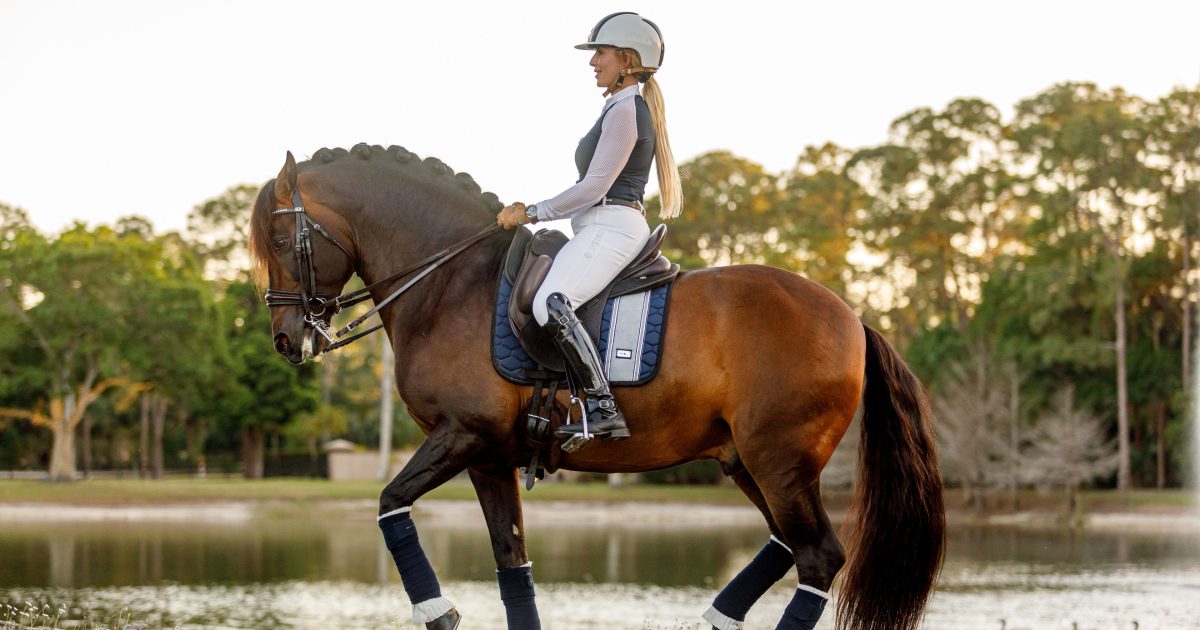 Equestrian Facility Jupiter, Florida Lady Jean Ranch