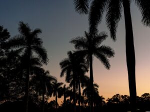 25 Best Florida Stargazing Dates in 2025, Palm Beach wedding venue